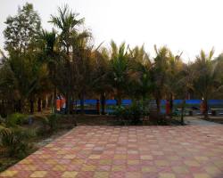 IMG_20190120_160820745